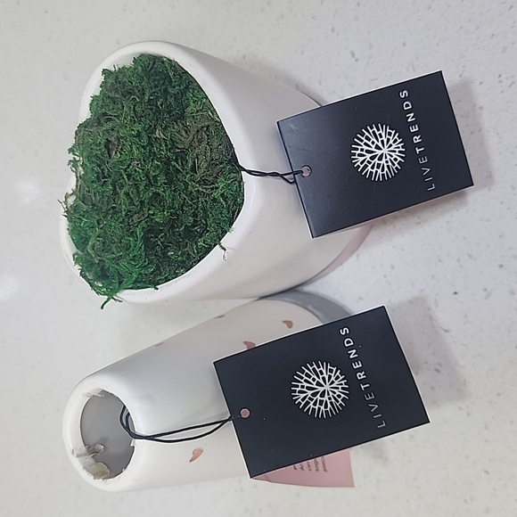 2 Ceramic & Cement Planters with tags. - Picture 6 of 8